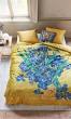 decoratieve kussens